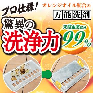 茂木和哉 オレンジ クリーナー 2本セット キ...の詳細画像3