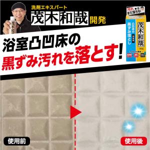 茂木和哉 掃除 洗剤 黒ずみ 汚れ 重曹 お風...の詳細画像1