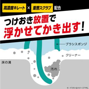 茂木和哉 掃除 洗剤 黒ずみ 汚れ 重曹 お風...の詳細画像3
