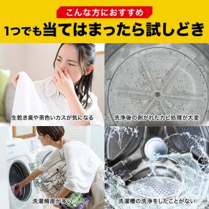 茂木和哉 洗濯槽クリーナー 洗濯槽 洗濯機クリ...の詳細画像5