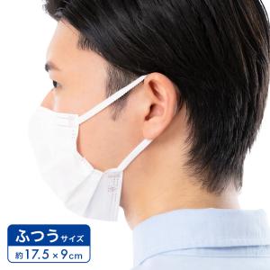 さわやかフィット 国産 マスク ふつう 120...の詳細画像4