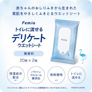 デリケートゾーン シート フェムケア 匂い 保...の詳細画像1