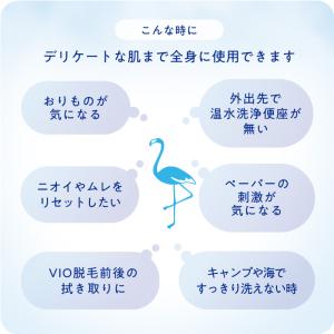 デリケートゾーン シート フェムケア 匂い 保...の詳細画像2
