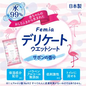 デリケートゾーン シート フェムケア 匂い 保...の詳細画像1