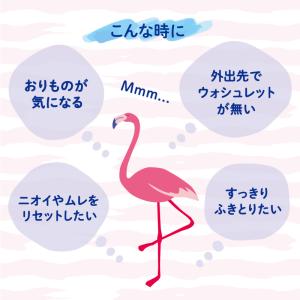 デリケートゾーン シート フェムケア 匂い 保...の詳細画像2