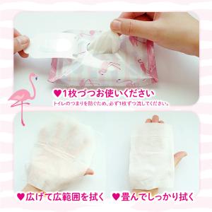 デリケートゾーン シート フェムケア 匂い 保...の詳細画像4