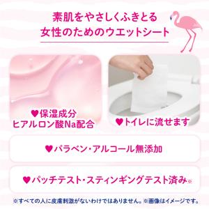 デリケートゾーン シート フェムケア 匂い 保...の詳細画像3