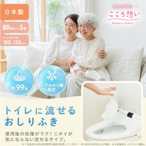 トイレに流せる 介護用 おしりふき こころ想い...の詳細画像1