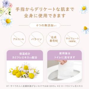 デリケートゾーン シート フェムケア 匂い 保...の詳細画像3