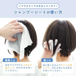 水なしシャンプー 水のいらないシャンプー ドラ...の詳細画像4