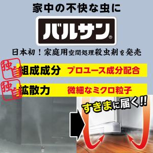 バルサン【霧タイプ】くん煙剤 ワンプッシュ(6...の詳細画像2