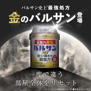 バルサン バルサンDX 煙タイプ 12-16畳...の詳細画像1