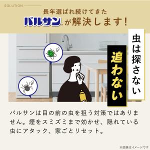 バルサン バルサンDX 煙タイプ 12-16畳...の詳細画像5