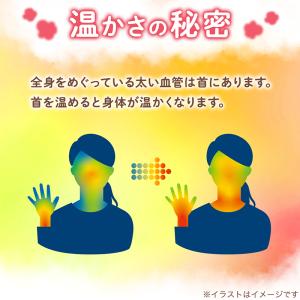 カイロ 使い捨てカイロ 貼らない かけぽか 3...の詳細画像3