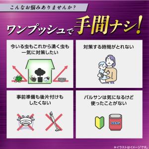 バルサン カメムシ対策 虫除け ムカデ 駆除 ...の詳細画像5