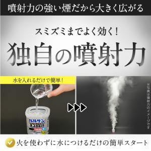 バルサン ネズミ駆除 効果抜群 ネズミ忌避剤 ...の詳細画像4