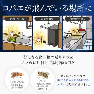 バルサン コバエ取り コバエ 駆除 コバエ 殺...の詳細画像5