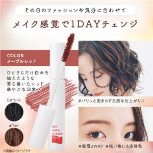 ヘアカラー 1day ワンデイ ヘアマスカラ ...の詳細画像2