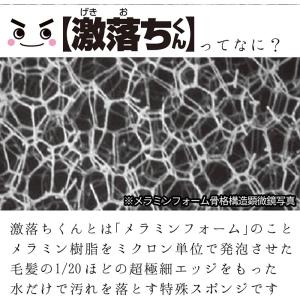 激落ちくん キューブタイプ 60個入 メラミン...の詳細画像5