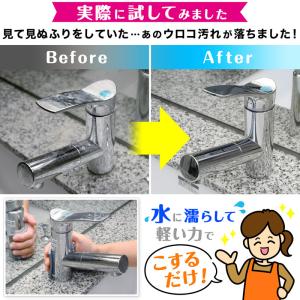 ウロコ取り シートタイプ 鏡用 フルーツ酸プラ...の詳細画像3