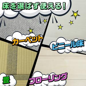 粘着シート スペア 2個 ミニサイズ 激落ちく...の詳細画像2
