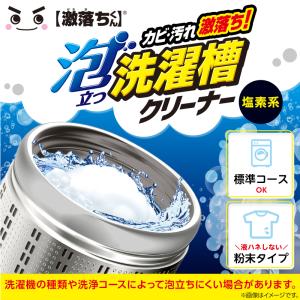 激落ちくん 泡立つ 洗濯槽 クリーナー 粉末 ...の詳細画像1