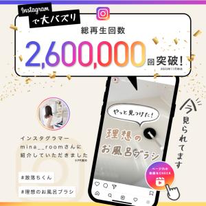 激落ちくん お風呂 風呂掃除 お風呂掃除 ブラ...の詳細画像2