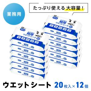 激落ちくん ウェットシート 20枚入×12個 ...の詳細画像5