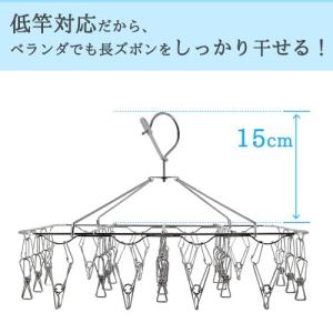 オールステンレス ハンガー ピンチ42個付 角...の詳細画像3