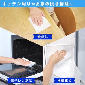 激落ちくん 除菌 ウエットシート 30枚入×3...の詳細画像3