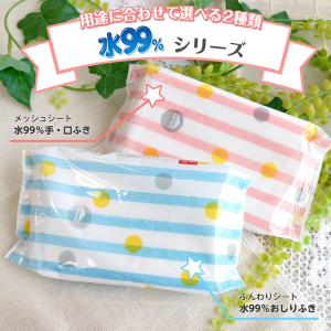 手口拭き 手口ふき ウェットティッシュ レック...の詳細画像5