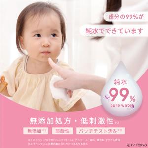 シナぷしゅ 手口ふき 手口拭き 手口ふき ウェ...の詳細画像3