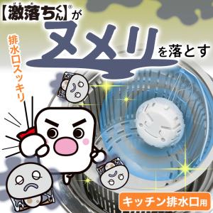排水口 ヌメ落ちくん 2個入 ×6個セット ヌ...の詳細画像1