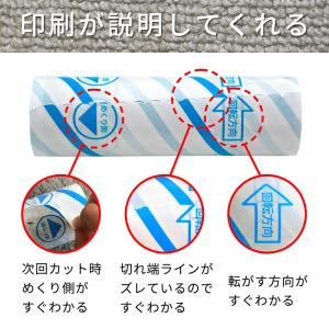 激落ちくん 粘着 クリーナー カーペットクリー...の詳細画像2