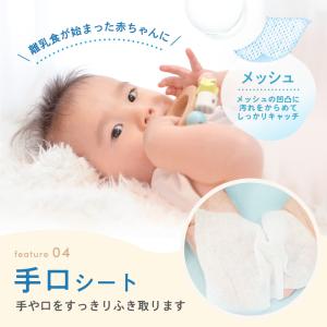 手口拭き 純水99.9% 80枚×15個 手口...の詳細画像4