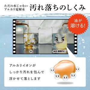 アルカリ電解水 電解水 スプレー 本体 1個 ...の詳細画像4
