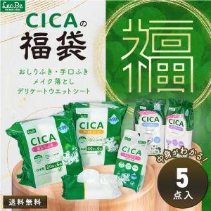 福袋 2024 中身がわかる ウエットティッシュ 5点セット CICA おしりふき 手口ふき 除菌シート デリケートシート メイク落とし レック lec｜lecdirect