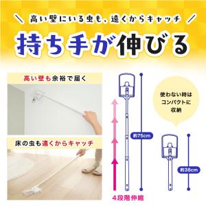 バルサン ゴキブリ駆除 ゴキブリ ゴキブリ対策...の詳細画像5
