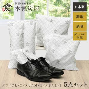除湿剤 乾燥剤 湿気取り 除湿 繰り返し 湿気とり 大容量 半永久 炭 繰り返し使える除湿剤 クローゼット 靴 スニーカー リビング 寝室 調湿 消臭 木炭 本家炭屋｜lecdirect