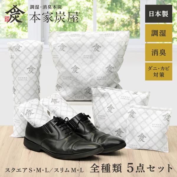 除湿剤 乾燥剤 湿気取り 除湿 繰り返し 湿気とり 大容量 半永久 炭 繰り返し使える除湿剤 クロー...