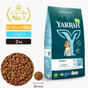 ブルー LPF 成犬用 ラム＆玄米 6kg ブルーバッファロー ドッグフード ラム＆玄米レシピ 成犬用(6kg