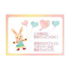 ダックスフンド ギフトバッグ 犬 紙袋 ペーパ...の詳細画像2