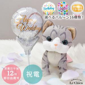 バルーン電報 ぬいぐるみ電報 猫 ミニにゃんこ＆ミニフラワー＆選べるバルーン