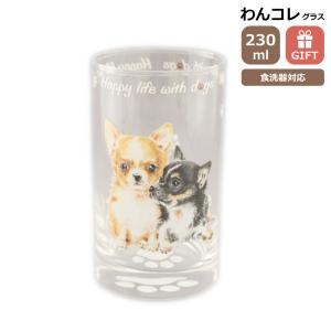 グラス タンブラー(マルチーズ)犬 ガラスのコップ 日本製 230cc わん