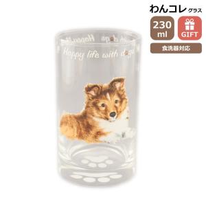 グラス タンブラー(柴犬)犬 ガラスのコップ 日本製 230cc わんコレ