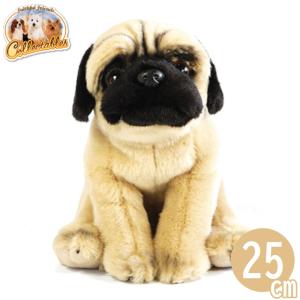 とても人気のある50〜60年代のシュタイフのプードルのぬいぐるみです