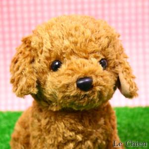 トイプードルのぬいぐるみ お座り(スターチャイルド）(犬 おもちゃ プレゼントにおすすめ ギフト 誕生日 記念日 バースデー かわいい 可愛い