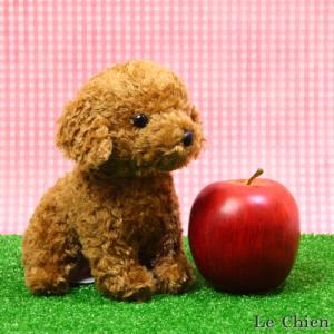 トイプードルのぬいぐるみ お座り(スターチャイ...の詳細画像4