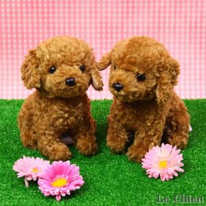トイプードルのぬいぐるみ お座り(スターチャイ...の詳細画像5