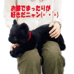 リアル 猫 ぬいぐるみ 重さの商品一覧 通販 Yahoo ショッピング